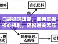 口袋循環(huán)攻略，如何掌握核心機(jī)制，輕松通關(guān)無(wú)壓力？