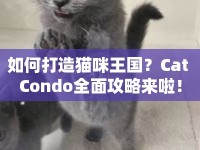 如何打造貓咪王國？Cat Condo全面攻略來啦！
