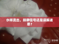 水樣流出，排卵信號(hào)還是誤解迷思？