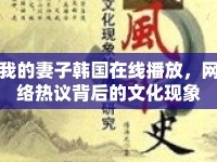 我的妻子韓國在線播放，網(wǎng)絡(luò)熱議背后的文化現(xiàn)象
