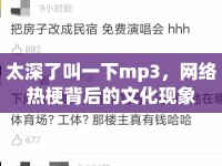 太深了叫一下mp3，網(wǎng)絡(luò)熱梗背后的文化現(xiàn)象