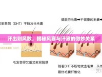 汗出則風(fēng)散，揭秘風(fēng)寒與汗液的微妙關(guān)系