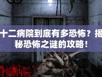 十二病院到底有多恐怖？揭秘恐怖之謎的攻略！