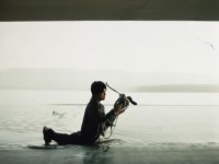 這里有精品，網(wǎng)絡(luò)討論中的優(yōu)質(zhì)內(nèi)容探析
