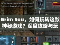 Grim Sou，如何玩轉這款神秘游戲？深度攻略與玩法解析來襲！
