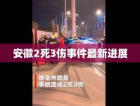 安徽2死3傷事件最新進展