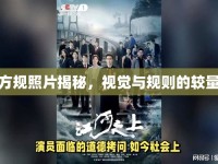 方規(guī)照片揭秘，視覺與規(guī)則的較量