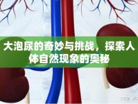 大泡尿的奇妙與挑戰(zhàn)，探索人體自然現(xiàn)象的奧秘