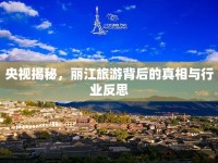 央視揭秘，麗江旅游背后的真相與行業(yè)反思
