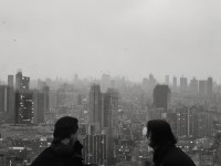倩女幽魂手游的南瓜神獸，憑什么成為萬圣節(jié)最搶手萌寵？