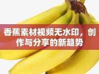 香蕉素材視頻無水印，創(chuàng)作與分享的新趨勢