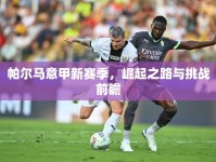 帕爾馬意甲新賽季，崛起之路與挑戰(zhàn)前瞻