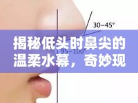 揭秘低頭時鼻尖的溫柔水幕，奇妙現(xiàn)象的背后