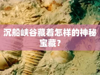 沉船峽谷藏著怎樣的神秘寶藏？
