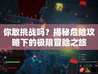 你敢挑戰(zhàn)嗎？揭秘危險(xiǎn)攻略下的極限冒險(xiǎn)之旅