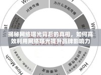 揭秘網(wǎng)絡(luò)曝光背后的真相，如何高效利用網(wǎng)絡(luò)曝光提升品牌影響力