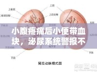 小腹疼痛后小便帶血塊，泌尿系統(tǒng)警報不容忽視