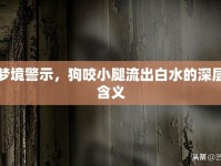 夢境警示，狗咬小腿流出白水的深層含義
