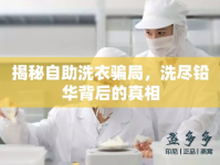 揭秘自助洗衣騙局，洗盡鉛華背后的真相