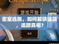 密室逃脫，如何解鎖謎題，追蹤真相？
