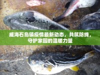威海石島鎮(zhèn)疫情最新動(dòng)態(tài)，共筑防線，守護(hù)家園的溫暖力量