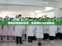 濮陽疫情最新動態(tài)，全面解析與權威解讀