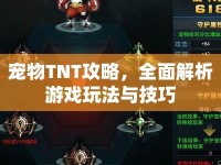 寵物TNT攻略，全面解析游戲玩法與技巧