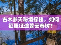 古木參天秘境探秘，如何征服征途暮云春樹？