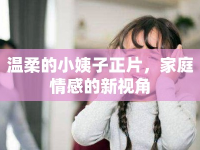 溫柔的小姨子正片，家庭情感的新視角