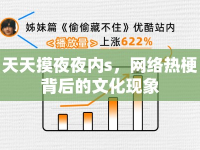 天天摸夜夜內(nèi)s，網(wǎng)絡(luò)熱梗背后的文化現(xiàn)象