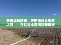 共筑綠色防線，守護鐵嶺縣生命之源——鐵嶺縣水源問題新進(jìn)展