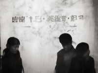 夢幻手游中，女號名字如何成為溫柔印記？