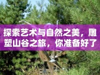 探索藝術(shù)與自然之美，雕塑山谷之旅，你準(zhǔn)備好了嗎？