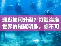 珊瑚如何升級？打造海底世界的璀璨明珠，你不可不知的攻略！