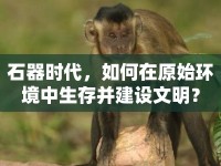 石器時代，如何在原始環(huán)境中生存并建設(shè)文明？