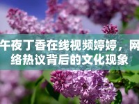 午夜丁香在線視頻婷婷，網(wǎng)絡(luò)熱議背后的文化現(xiàn)象