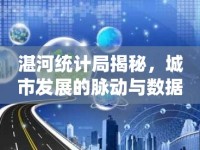 湛河統(tǒng)計局揭秘，城市發(fā)展的脈動與數(shù)據(jù)洞察