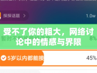 受不了你的粗大，網(wǎng)絡(luò)討論中的情感與界限