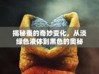 揭秘蠶的奇妙變化，從淡綠色液體到黑色的奧秘