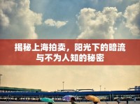 揭秘上海拍賣，陽光下的暗流與不為人知的秘密
