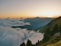 xx69美國(guó)：為何它成為焦點(diǎn)？你了解背后的真相嗎？