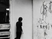 秋蟬，生命的絕唱與自然的韻律
