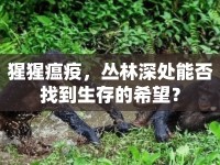 猩猩瘟疫，叢林深處能否找到生存的希望？