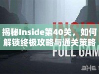 揭秘Inside第40關(guān)，如何解鎖終極攻略與通關(guān)策略？