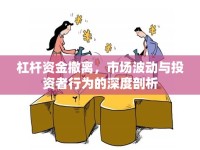 杠桿資金撤離，市場(chǎng)波動(dòng)與投資者行為的深度剖析