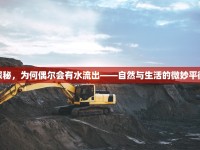 探秘，為何偶爾會有水流出——自然與生活的微妙平衡