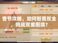 曹節(jié)攻略，如何智勇雙全，挑戰(zhàn)雙重困境？