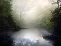 道士洗煉怎么玩？傳奇世界手游最強輔助輸出雙修秘訣大公開！