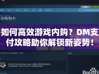 如何高效游戲內(nèi)購？DM支付攻略助你解鎖新姿勢！