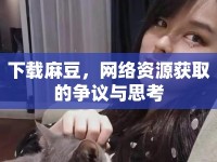 下載麻豆，網(wǎng)絡(luò)資源獲取的爭(zhēng)議與思考